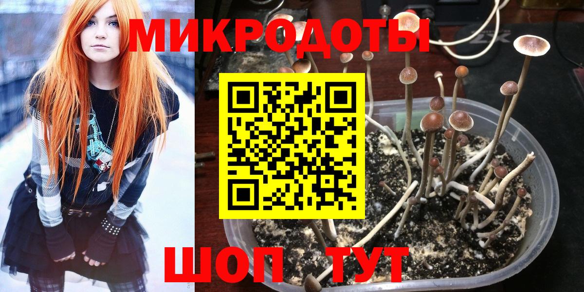 Галлюциногенные грибы Magic Shrooms Обь