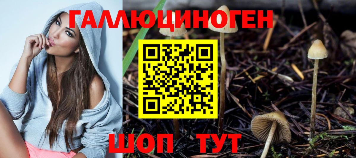 Галлюциногенные грибы прущие грибы  Вход с VPN  наркотики  Обь 